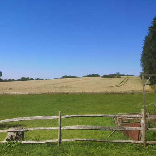 Dragon's View Apartment-field-view
