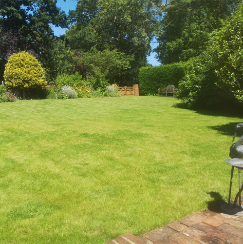 Dragon's View Apartment-lawn-area