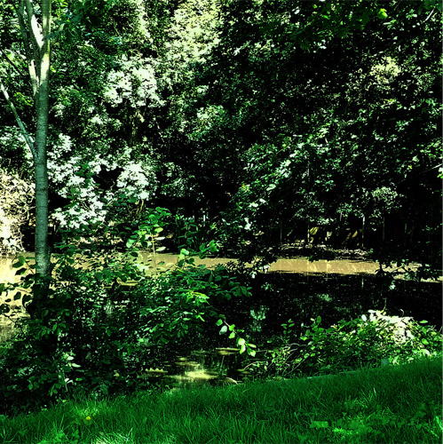 Dragon's View Apartment-pond